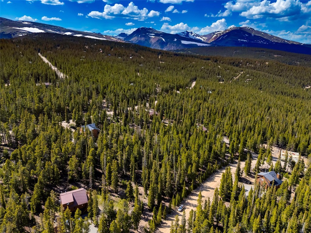 440 Gold Trail Circle Fairplay CO 80440