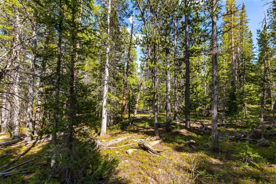 440 Gold Trail Circle Fairplay CO 80440