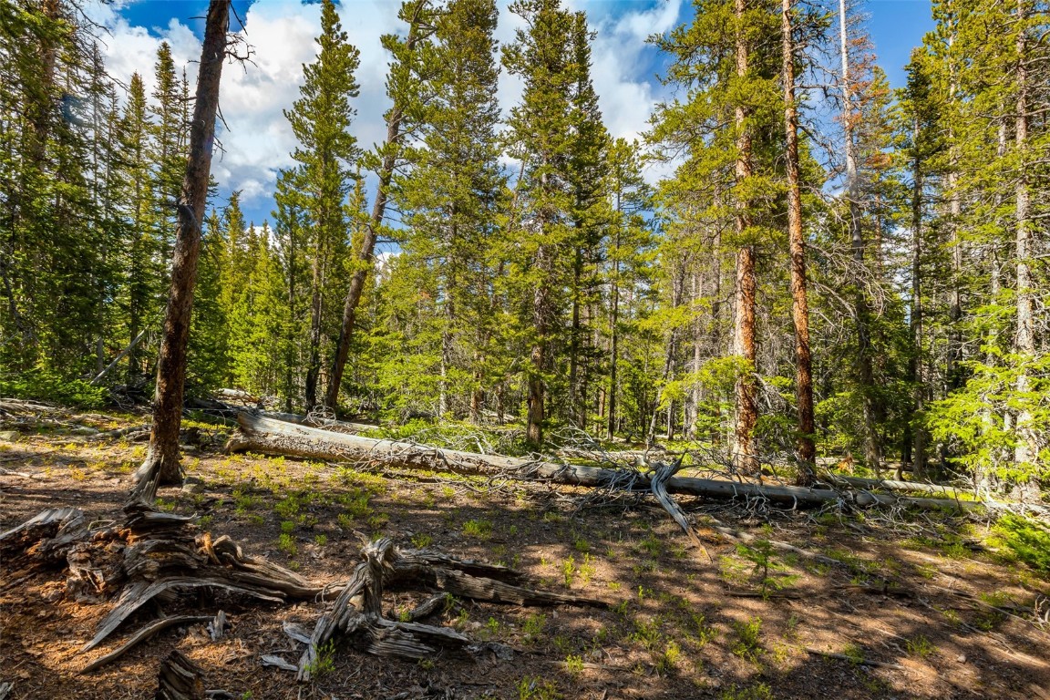 440 Gold Trail Circle Fairplay CO 80440