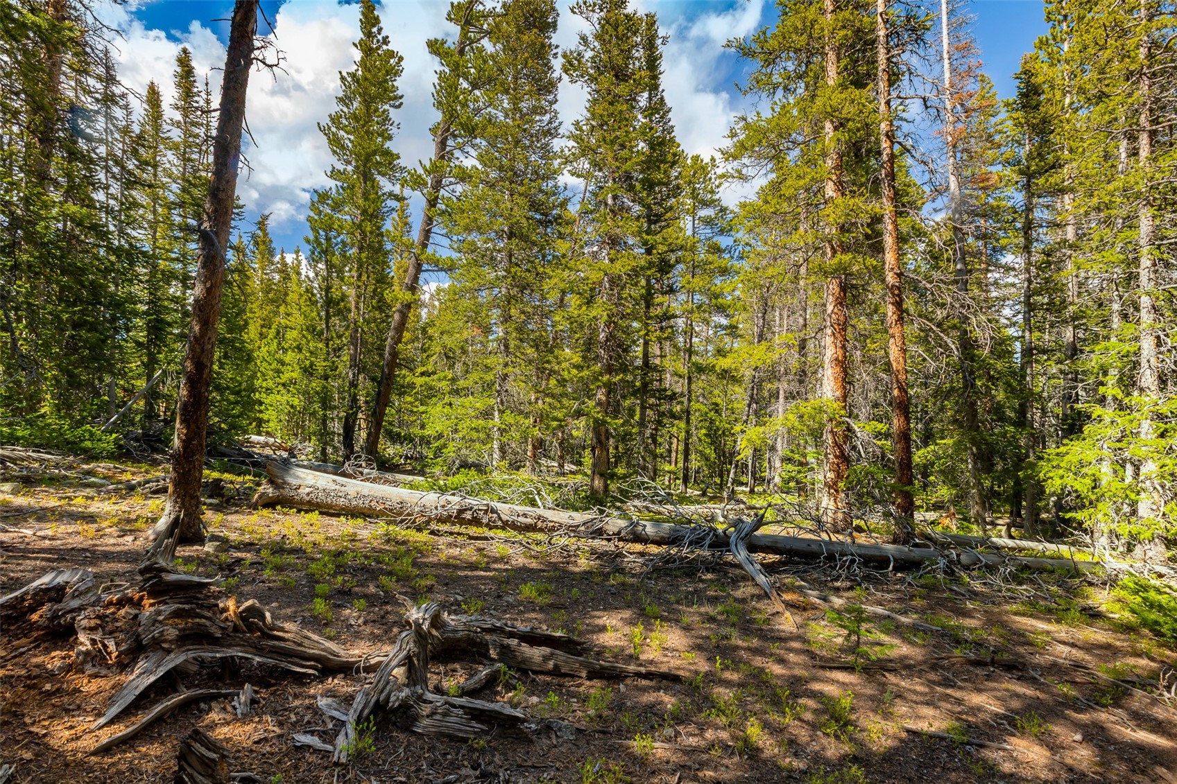 440 Gold Trail Circle Fairplay CO 80440
