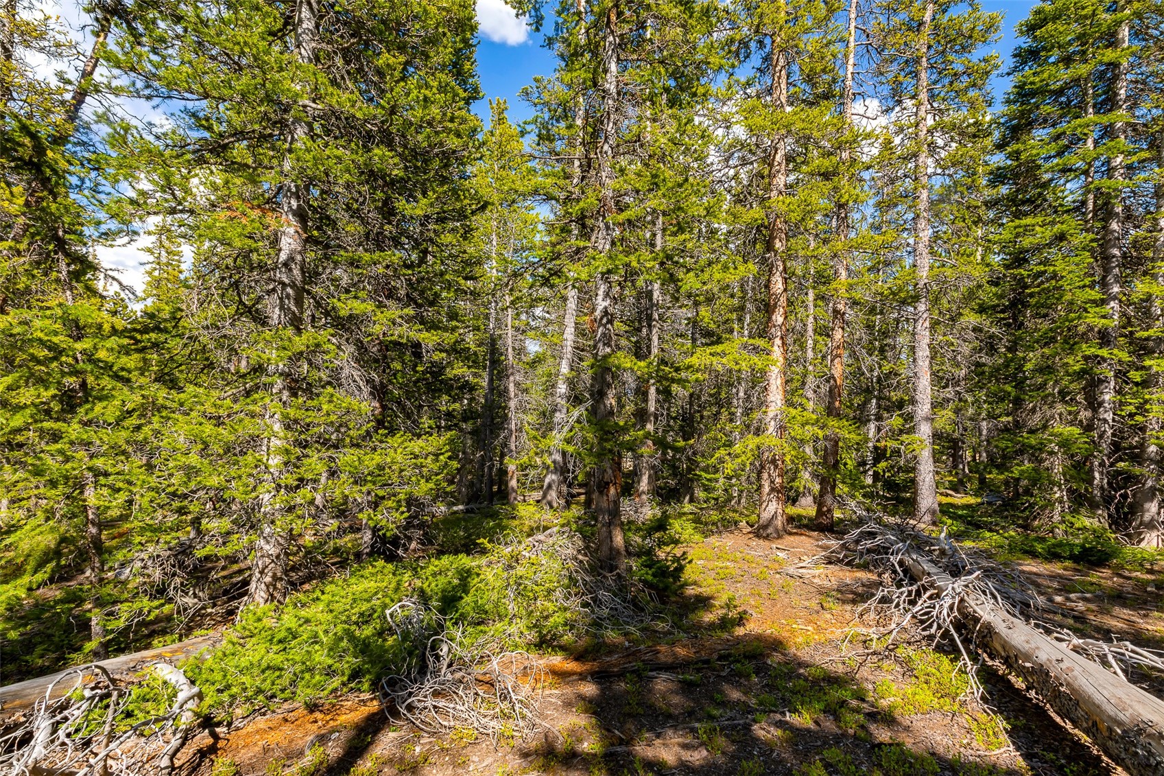 440 Gold Trail Circle Fairplay CO 80440