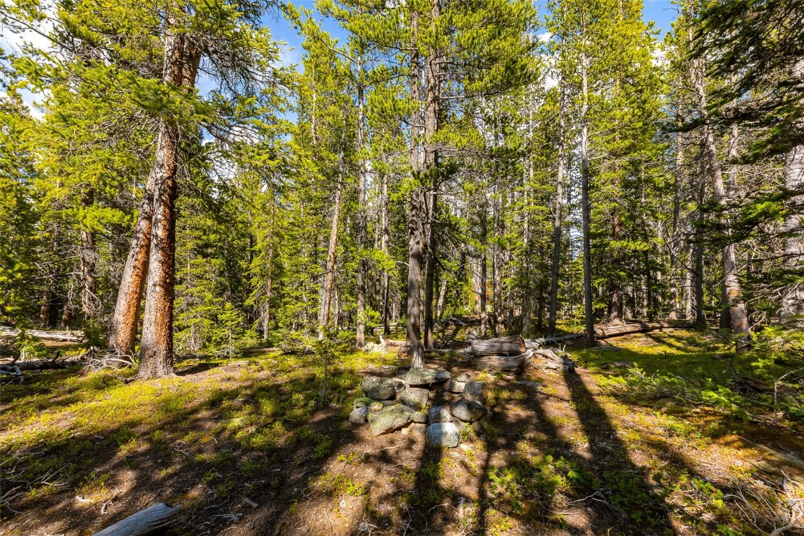 440 Gold Trail Circle Fairplay CO 80440