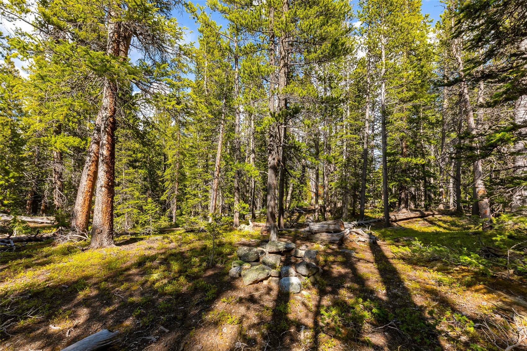 440 Gold Trail Circle Fairplay CO 80440