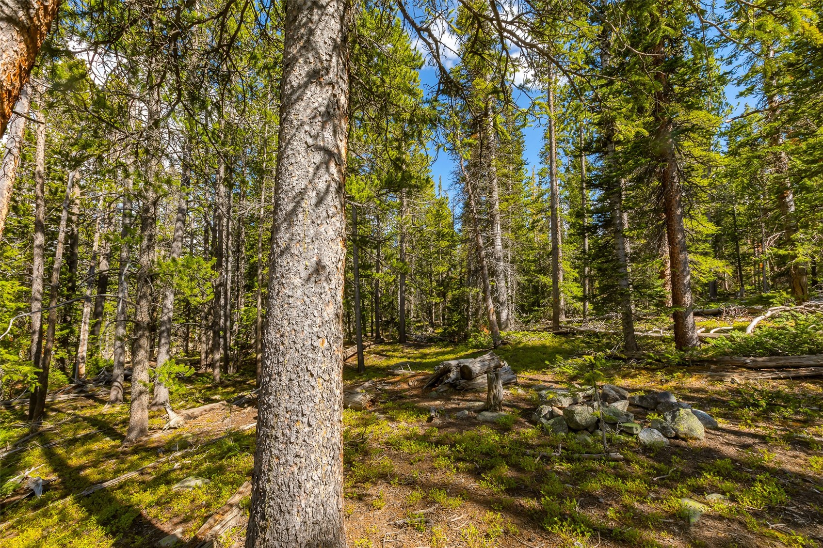 440 Gold Trail Circle Fairplay CO 80440