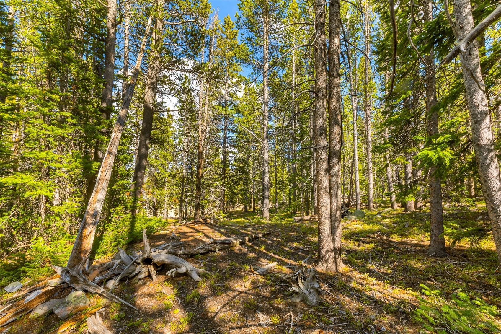 440 Gold Trail Circle Fairplay CO 80440