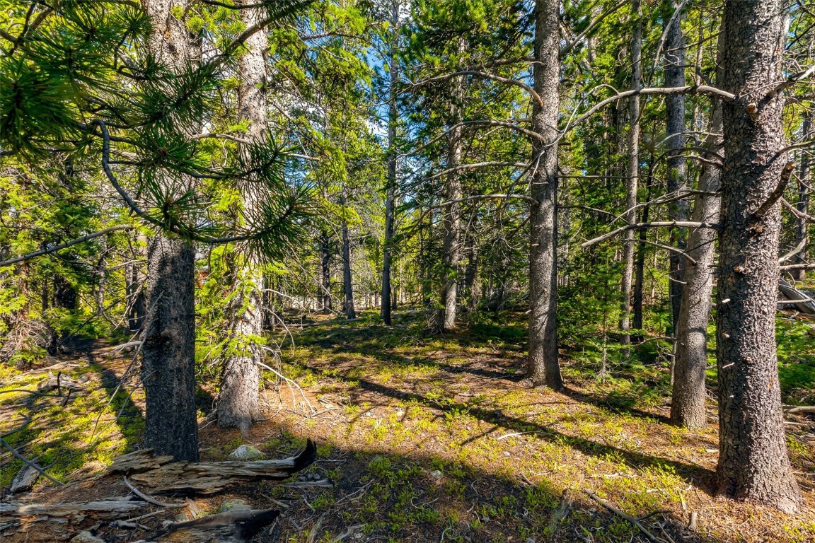 440 Gold Trail Circle Fairplay CO 80440