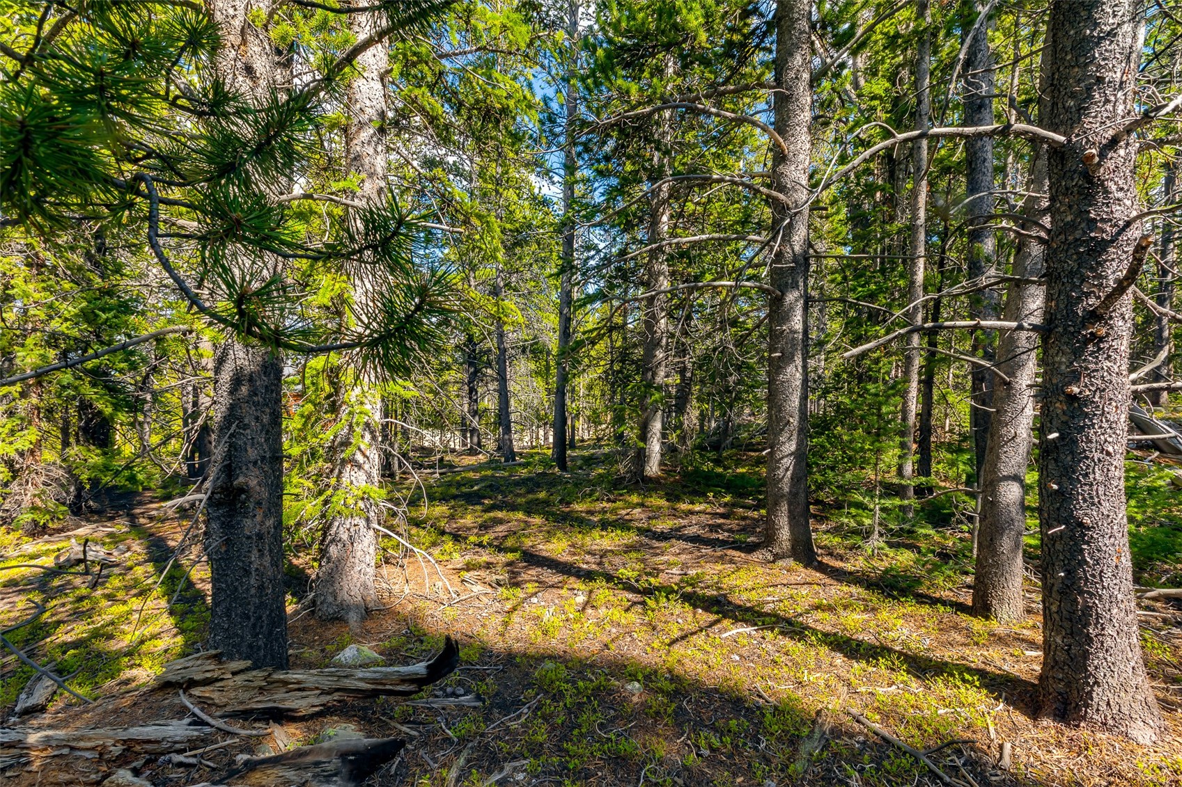 440 Gold Trail Circle Fairplay CO 80440