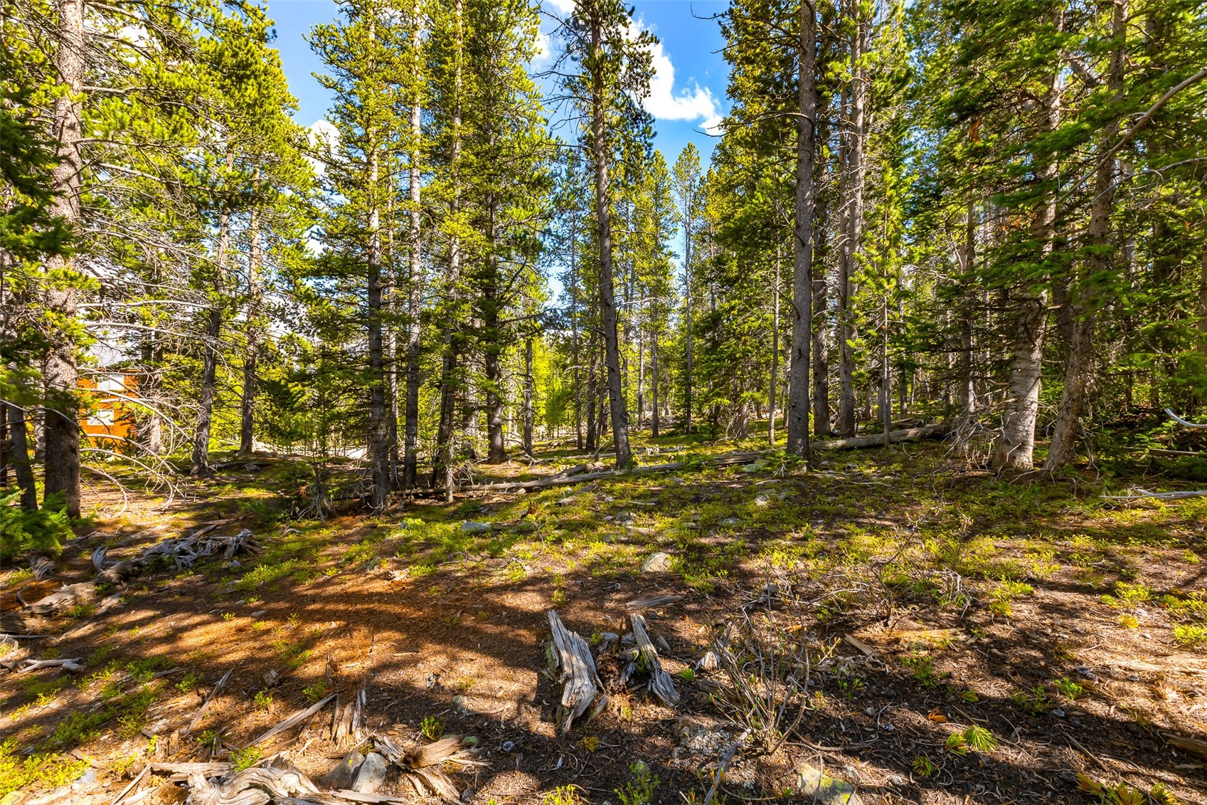 440 Gold Trail Circle Fairplay CO 80440