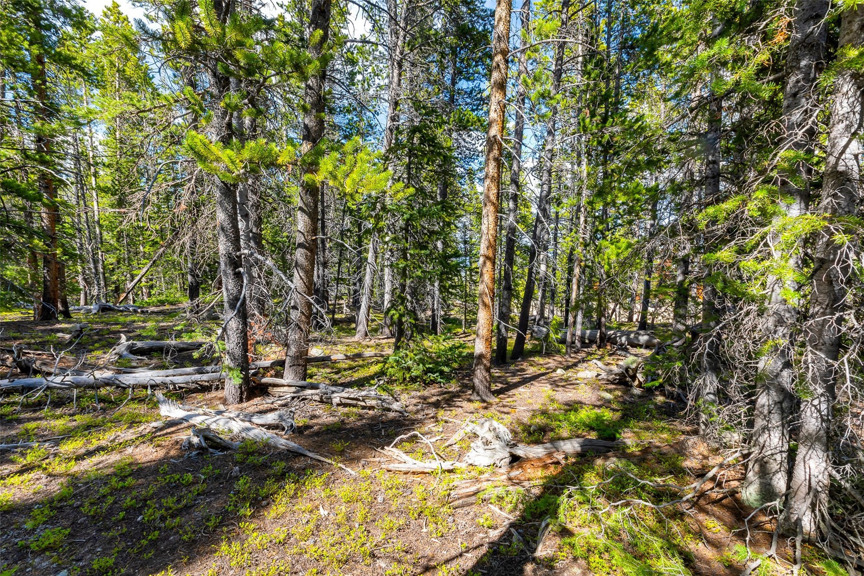 440 Gold Trail Circle Fairplay CO 80440