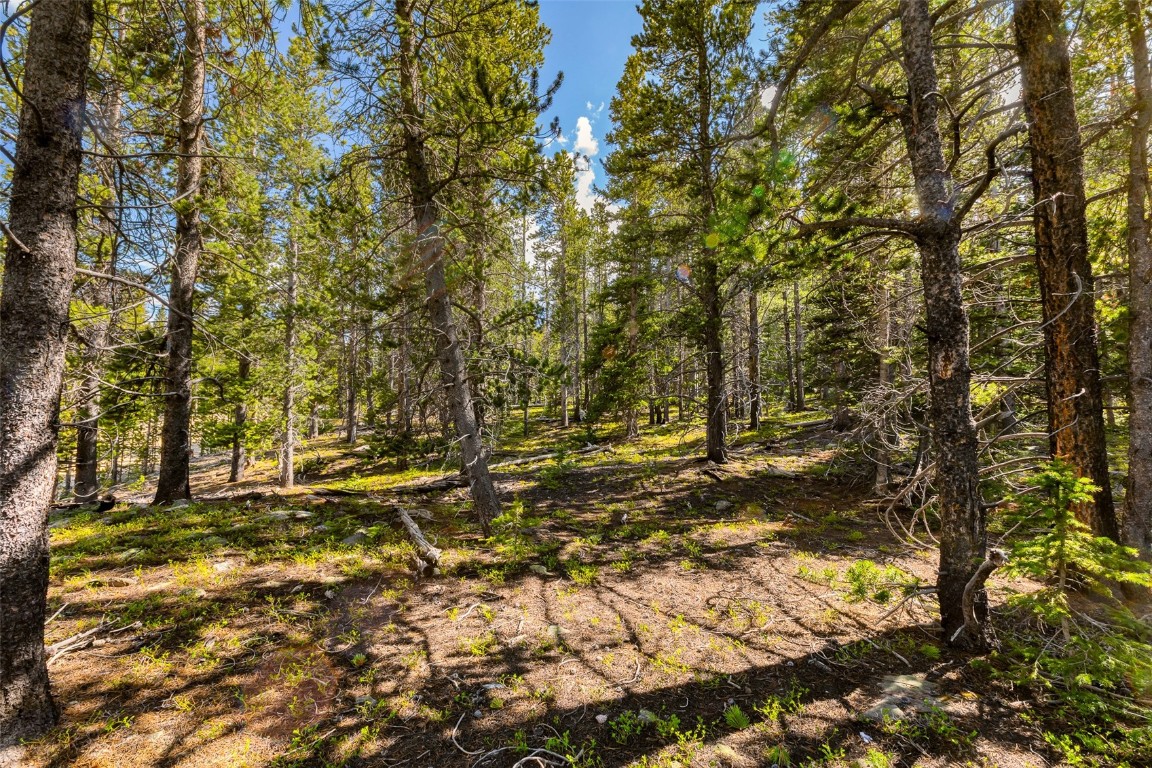 440 Gold Trail Circle Fairplay CO 80440