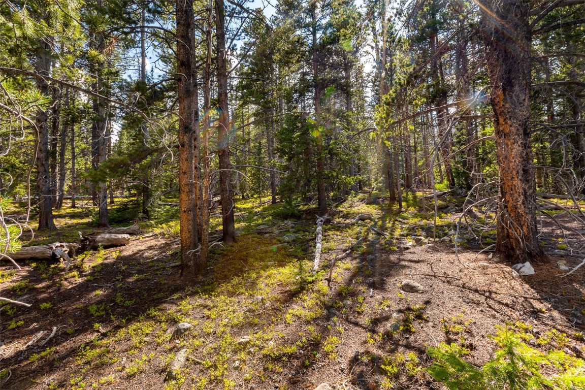 440 Gold Trail Circle Fairplay CO 80440