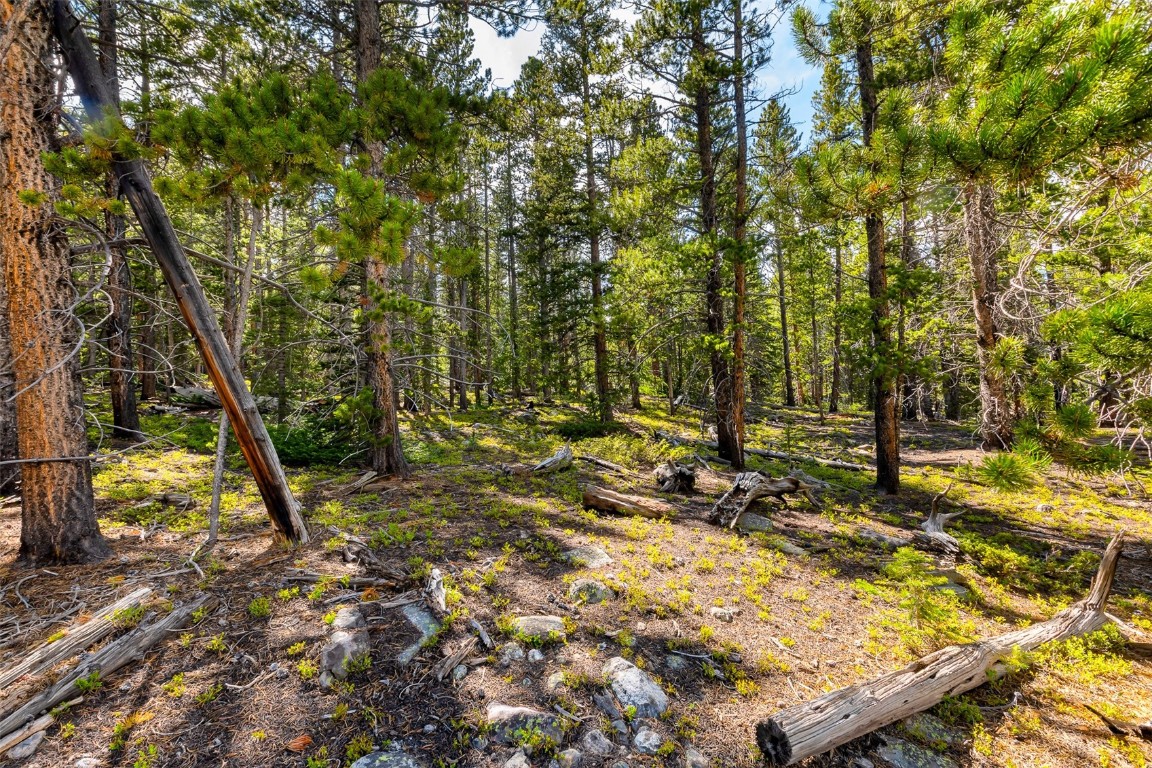 440 Gold Trail Circle Fairplay CO 80440