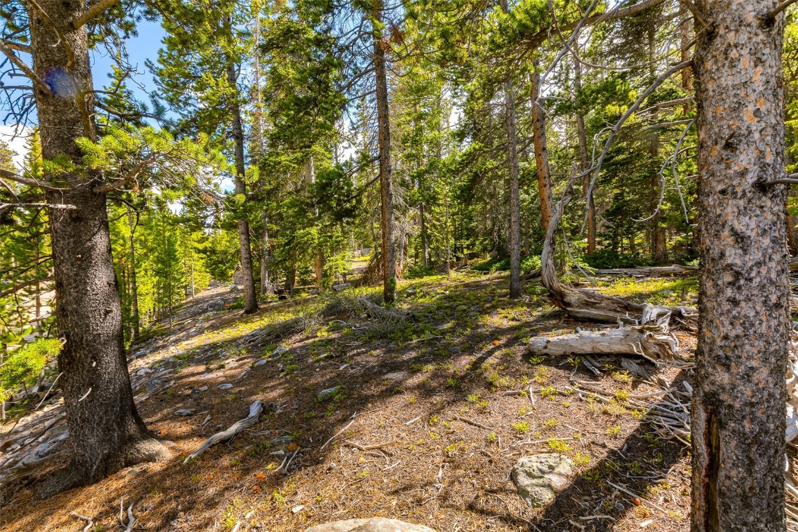 440 Gold Trail Circle Fairplay CO 80440