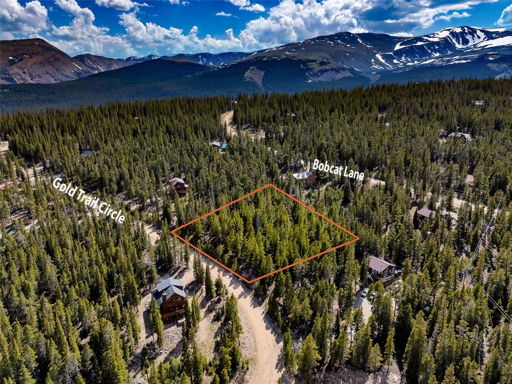 440 Gold Trail Circle Fairplay CO 80440