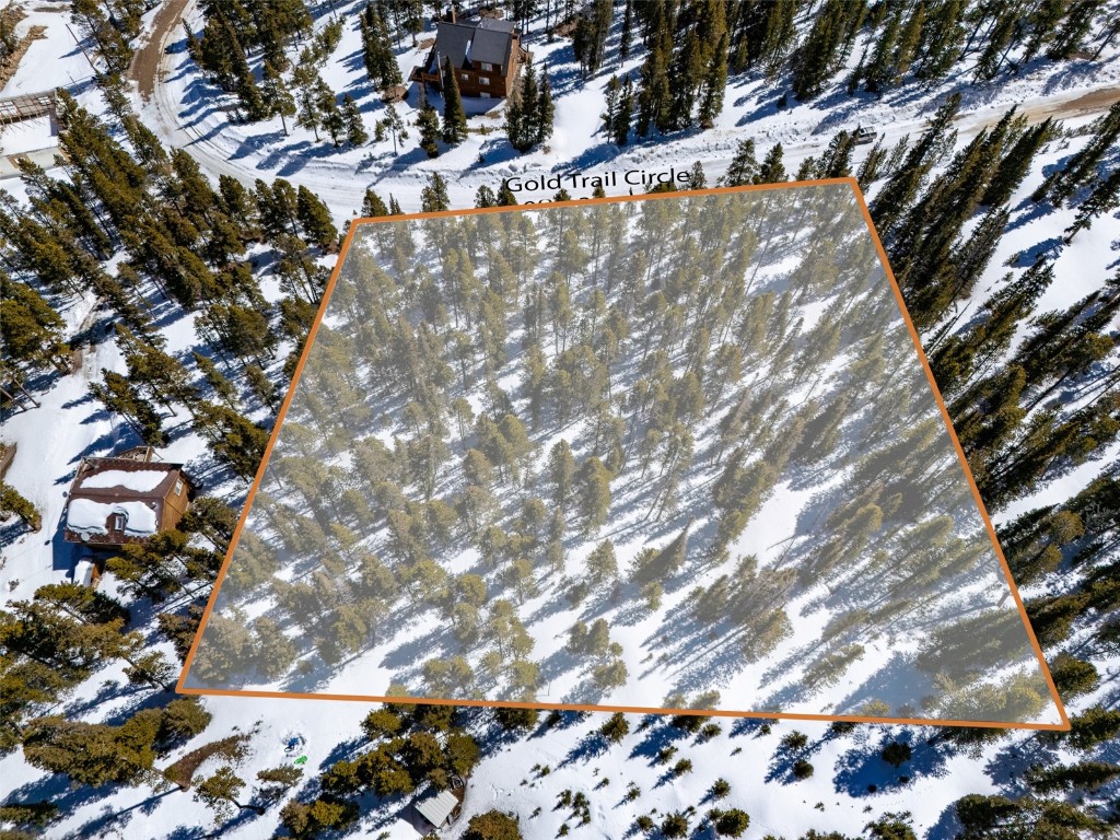 440 Gold Trail Circle Fairplay CO 80440