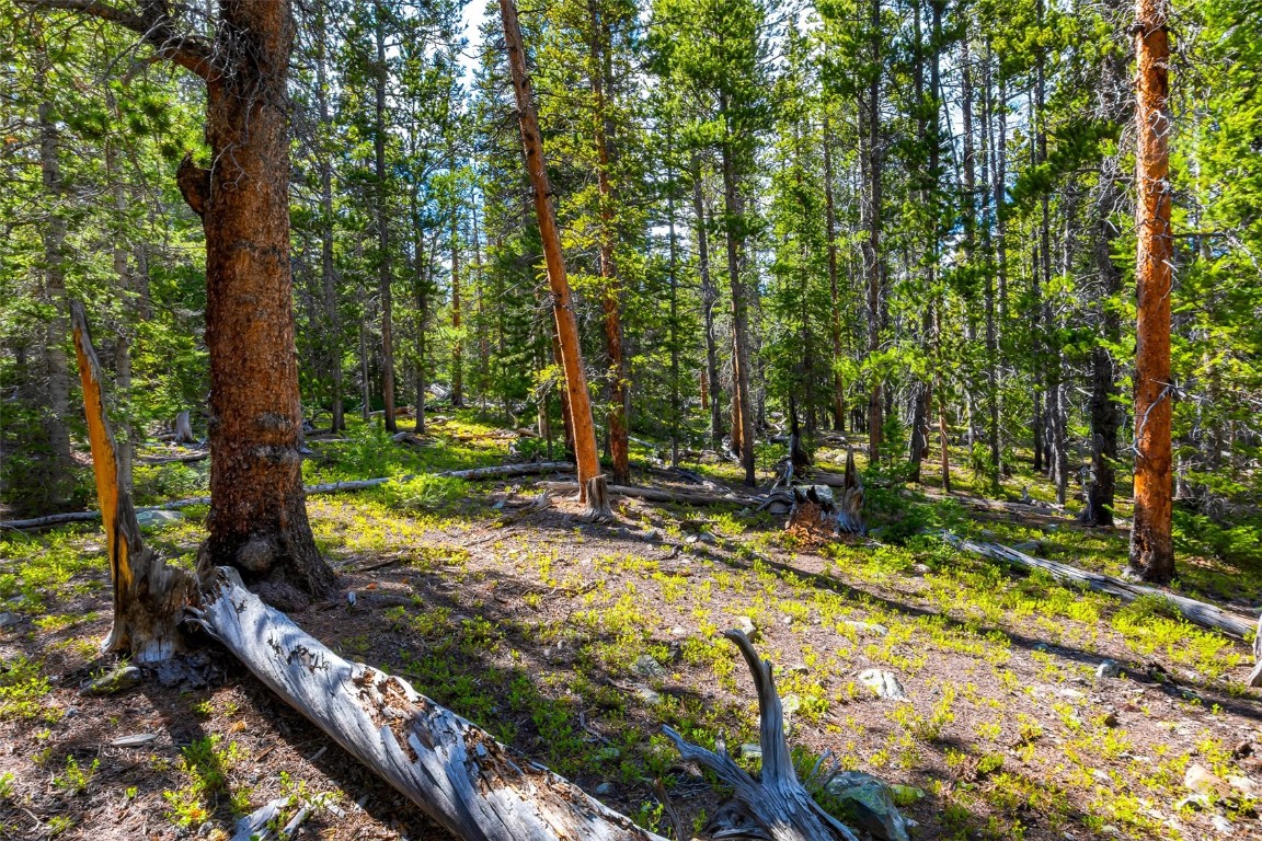 440 Gold Trail Circle Fairplay CO 80440