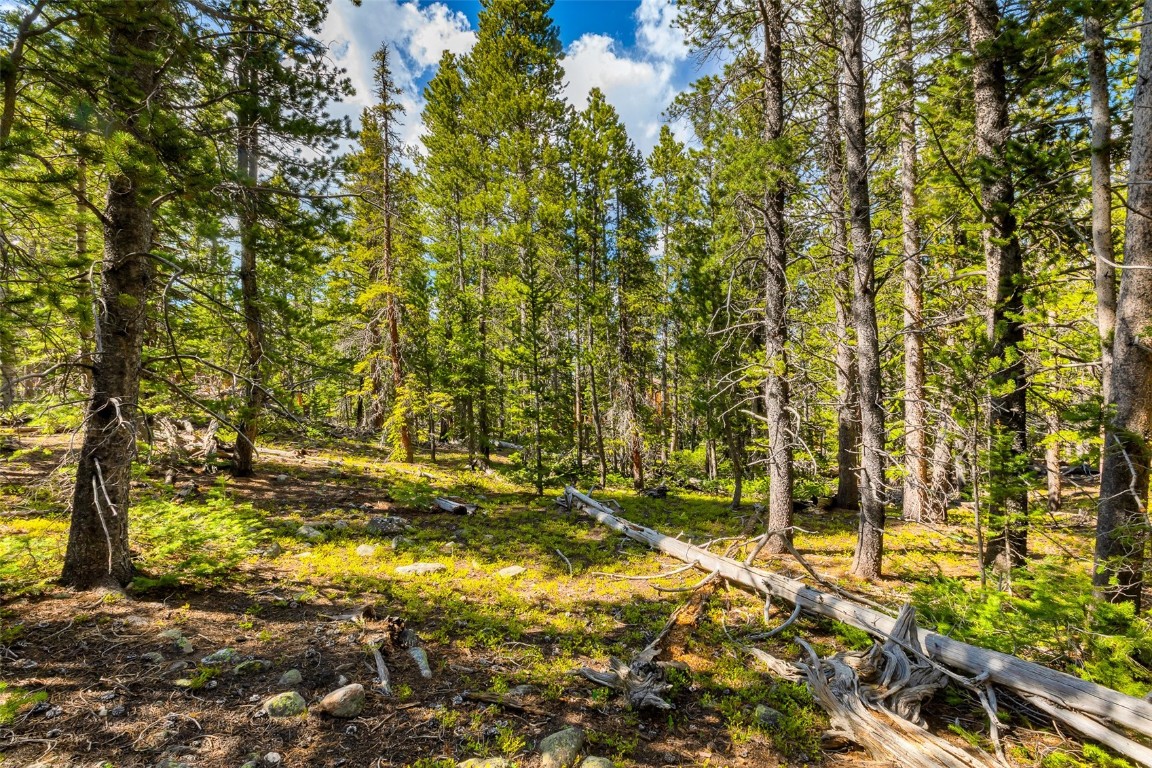 440 Gold Trail Circle Fairplay CO 80440