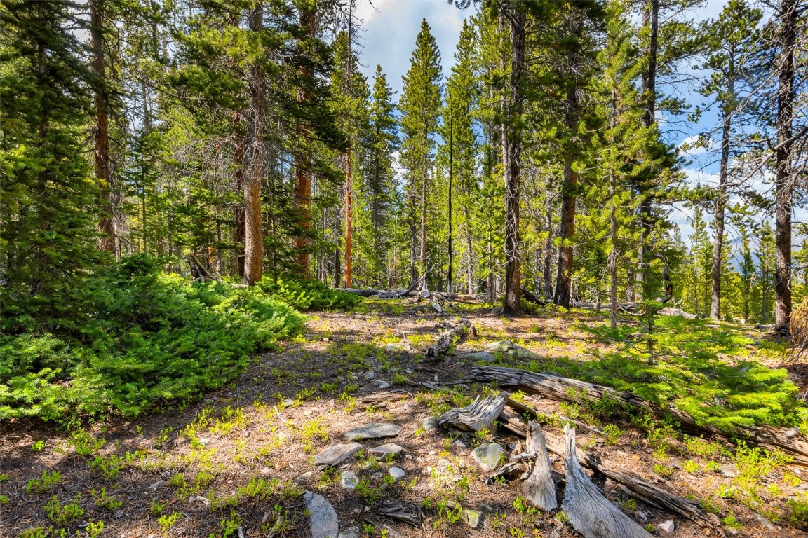 440 Gold Trail Circle Fairplay CO 80440