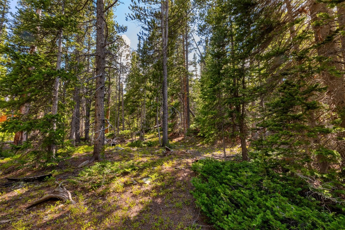 440 Gold Trail Circle Fairplay CO 80440