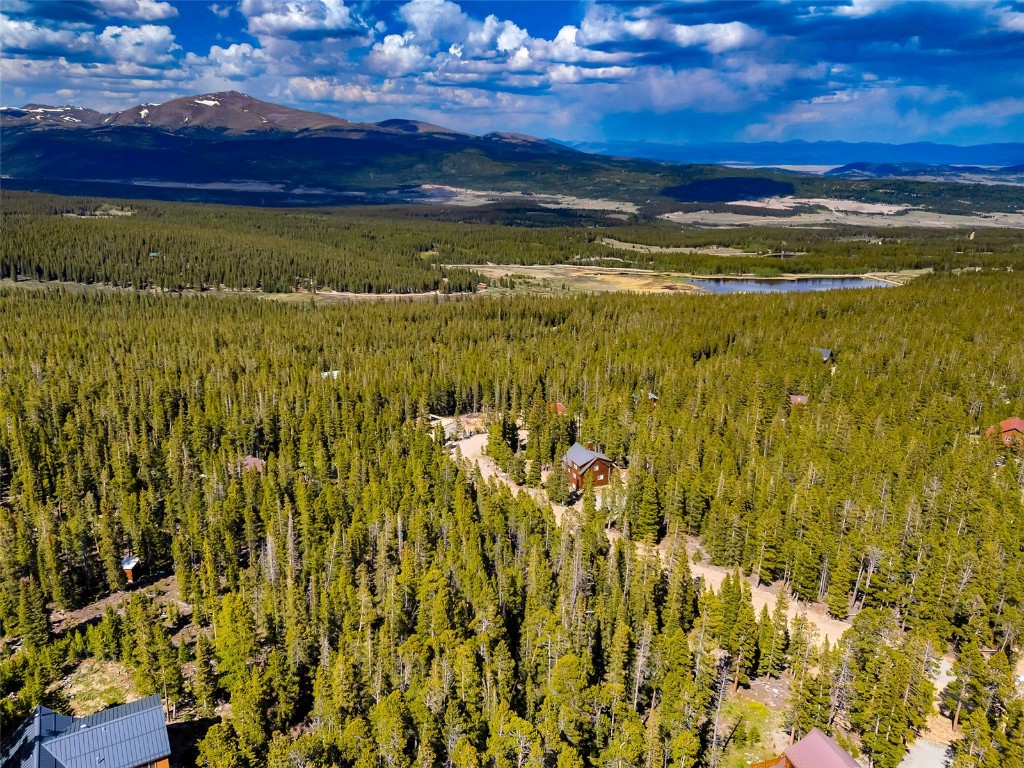 440 Gold Trail Circle Fairplay CO 80440