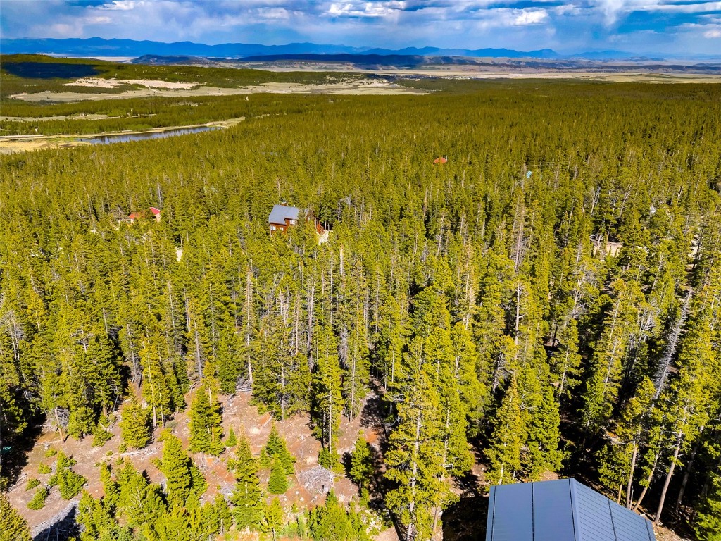 440 Gold Trail Circle Fairplay CO 80440