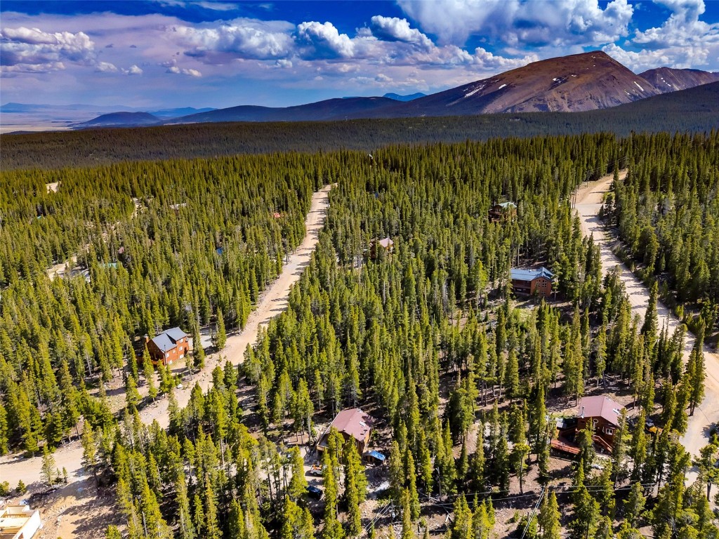 440 Gold Trail Circle Fairplay CO 80440