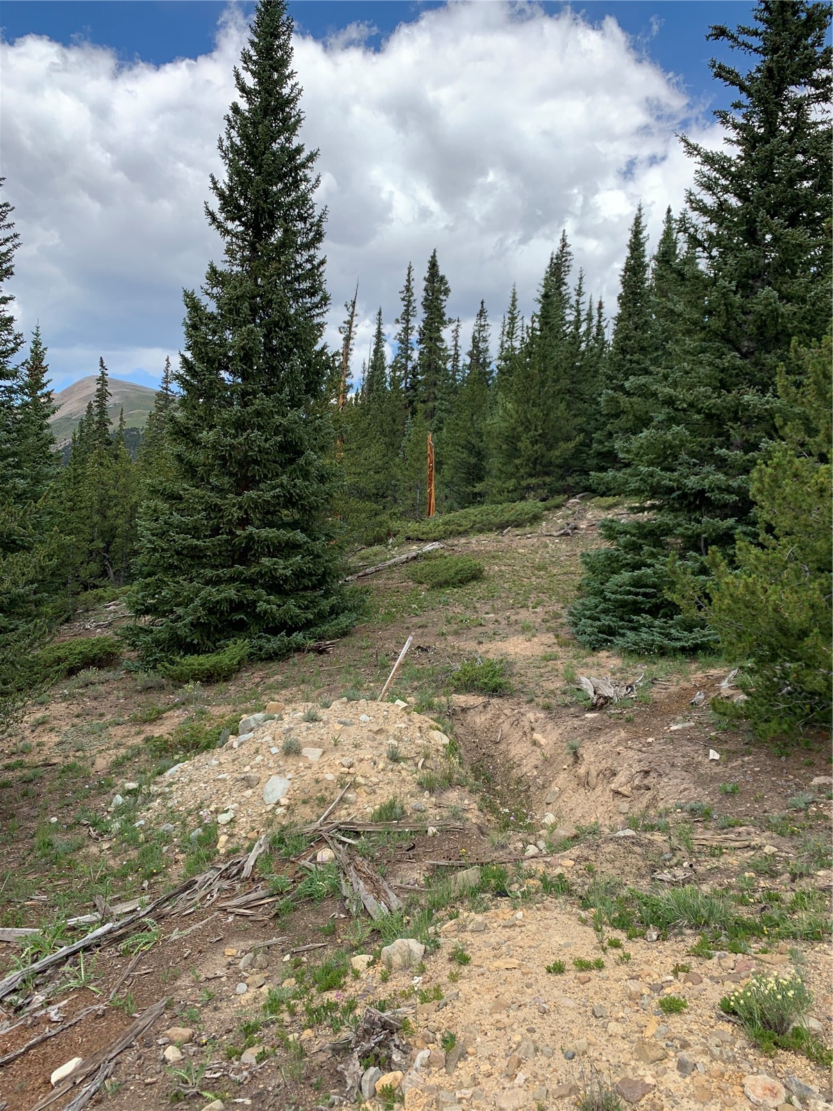 1150 Mountain View Drive Fairplay CO 80440