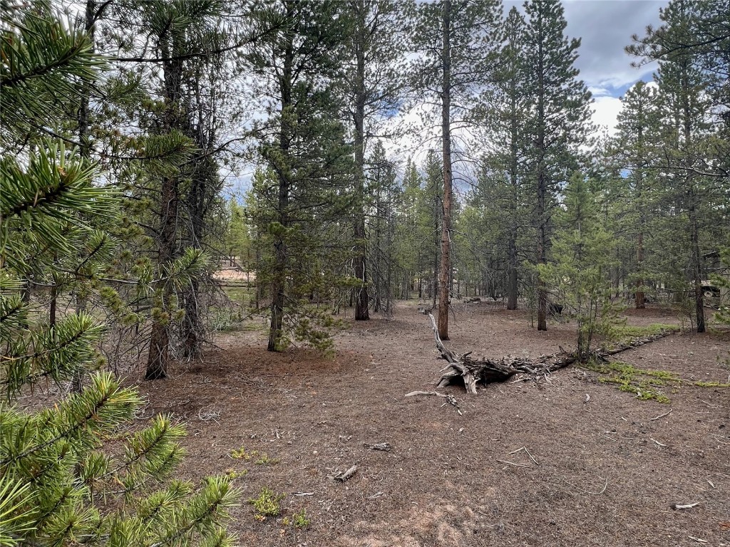 284 & 340 Fir Drive Twin Lakes CO 81251