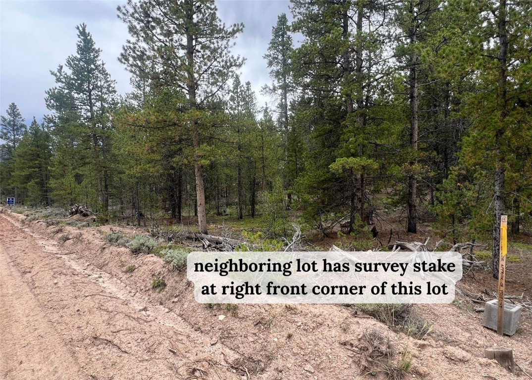 284 & 340 Fir Drive Twin Lakes CO 81251
