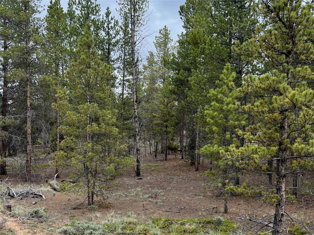 284 & 340 Fir Drive Twin Lakes CO 81251