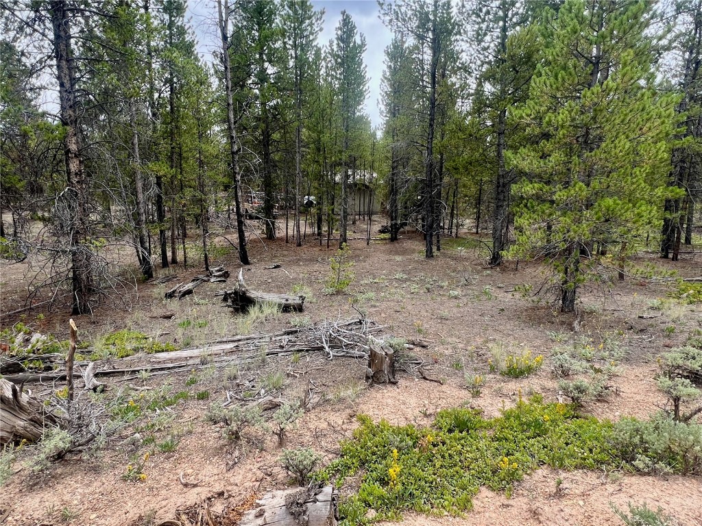 284 & 340 Fir Drive Twin Lakes CO 81251