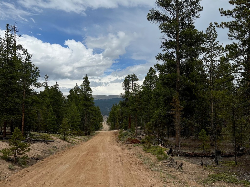 284 & 340 Fir Drive Twin Lakes CO 81251