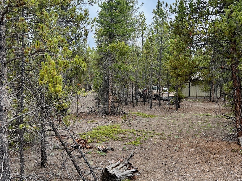 284 & 340 Fir Drive Twin Lakes CO 81251