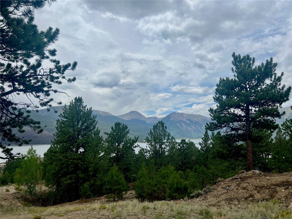 284 & 340 Fir Drive Twin Lakes CO 81251