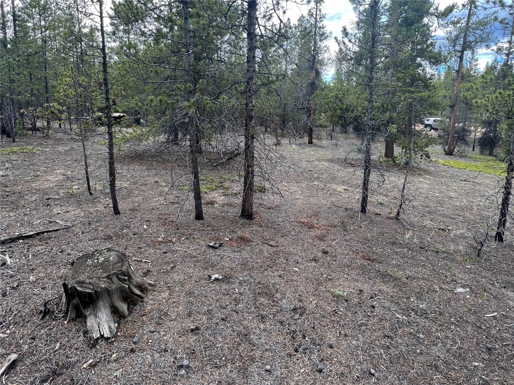 284 & 340 Fir Drive Twin Lakes CO 81251