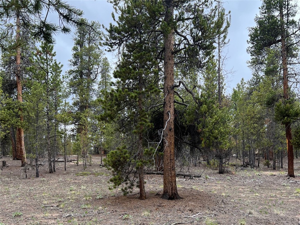 284 & 340 Fir Drive Twin Lakes CO 81251
