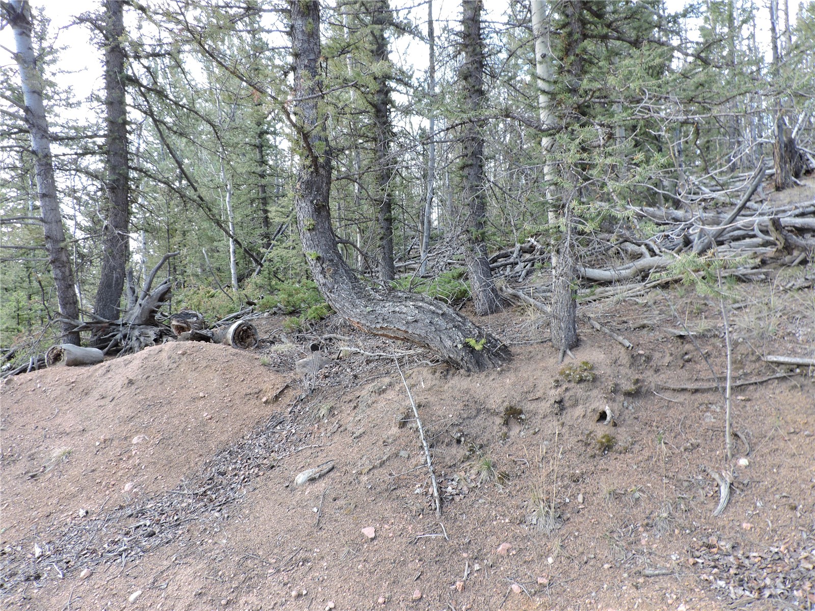 258 Old Squaw Road Como CO 80432