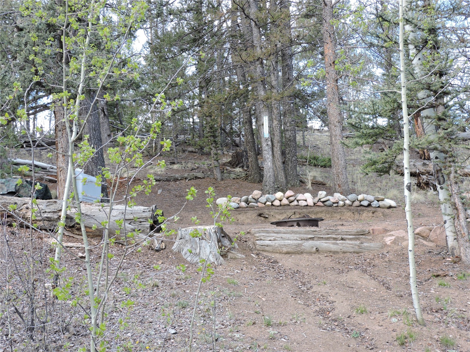 258 Old Squaw Road Como CO 80432