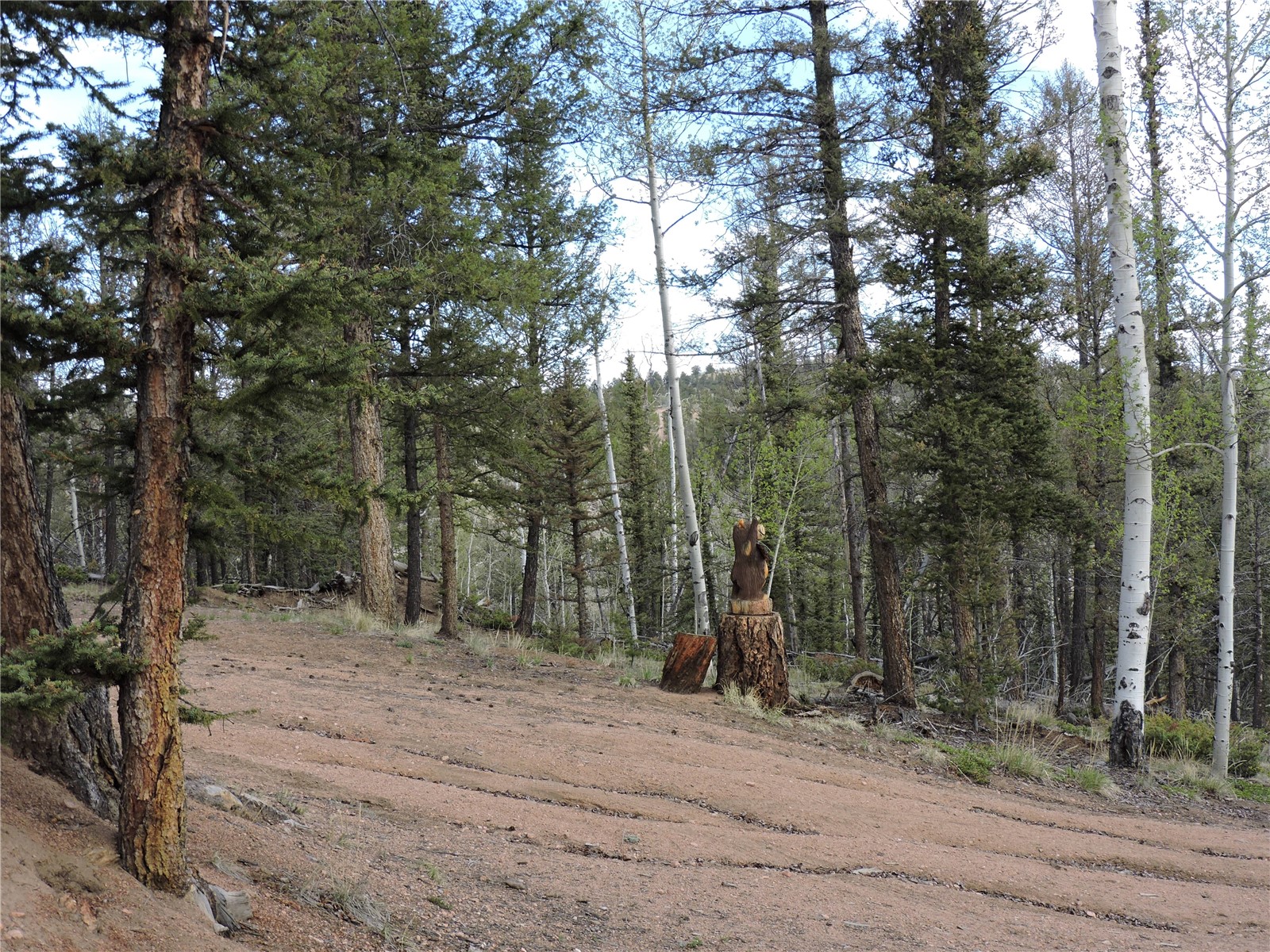 258 Old Squaw Road Como CO 80432