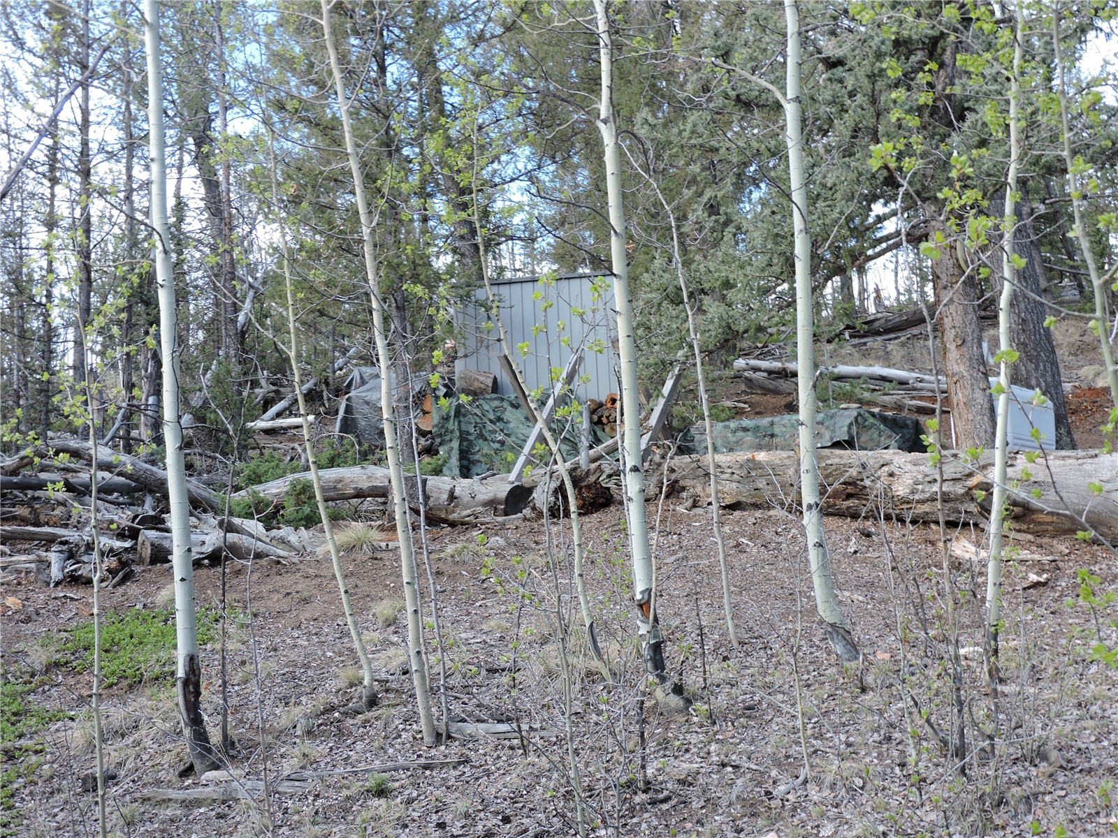 258 Old Squaw Road Como CO 80432