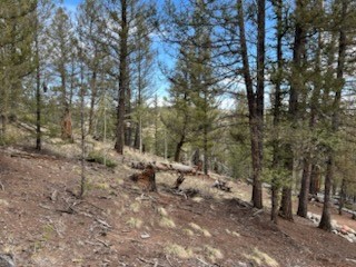 258 Old Squaw Road Como CO 80432