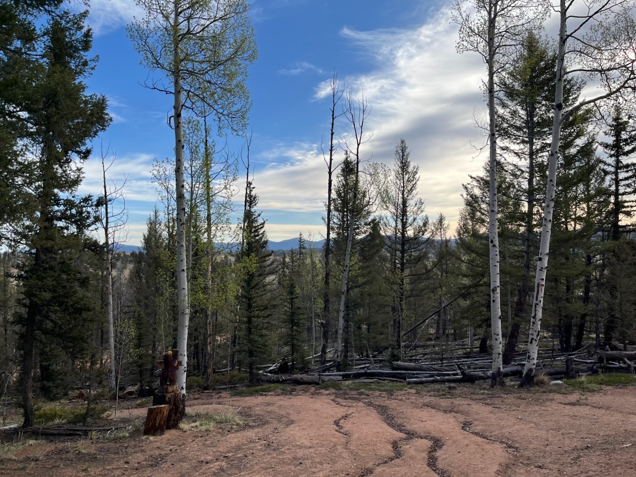 258 Old Squaw Road Como CO 80432