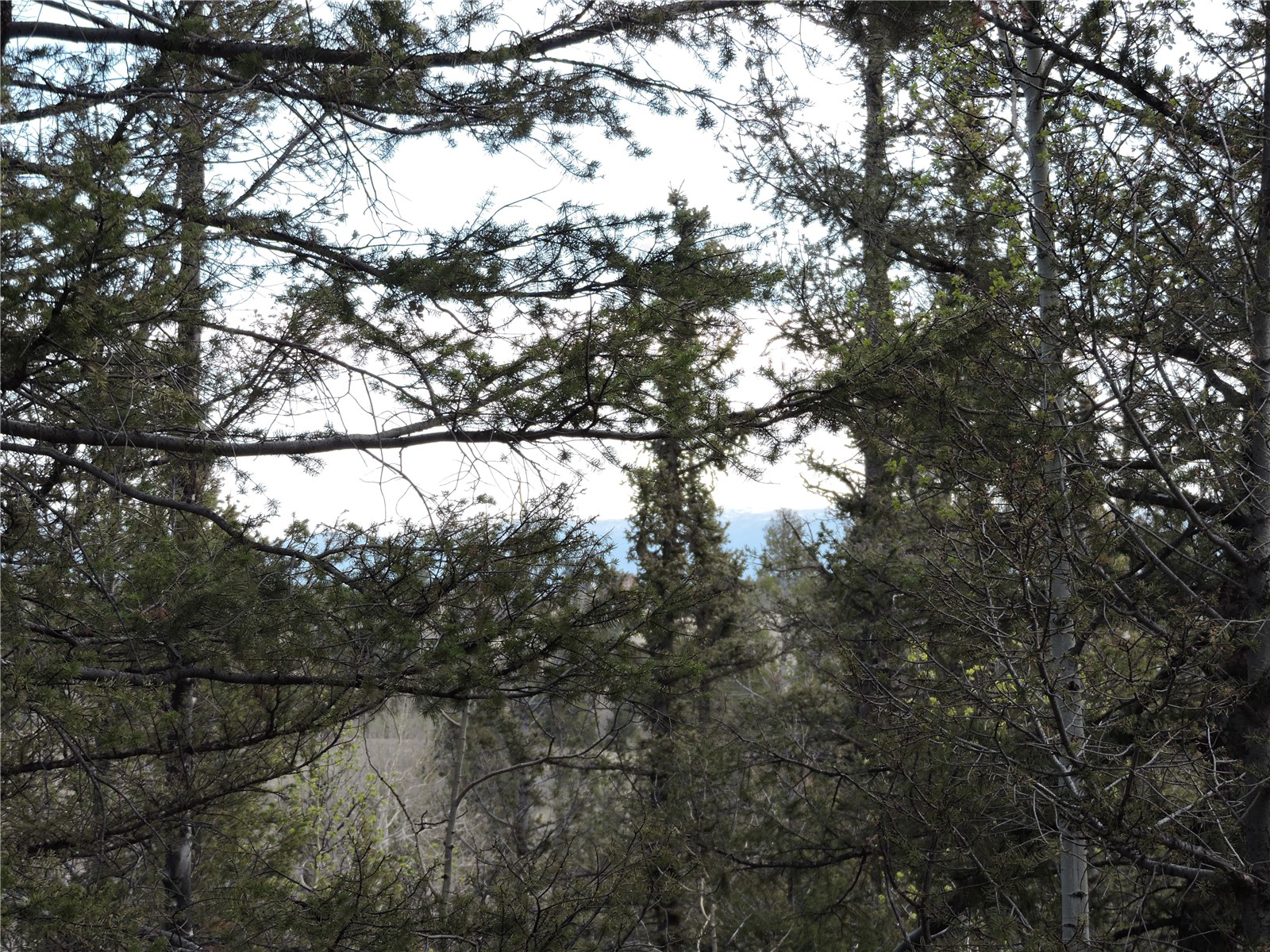 258 Old Squaw Road Como CO 80432