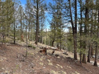 258 Old Squaw Road Como CO 80432