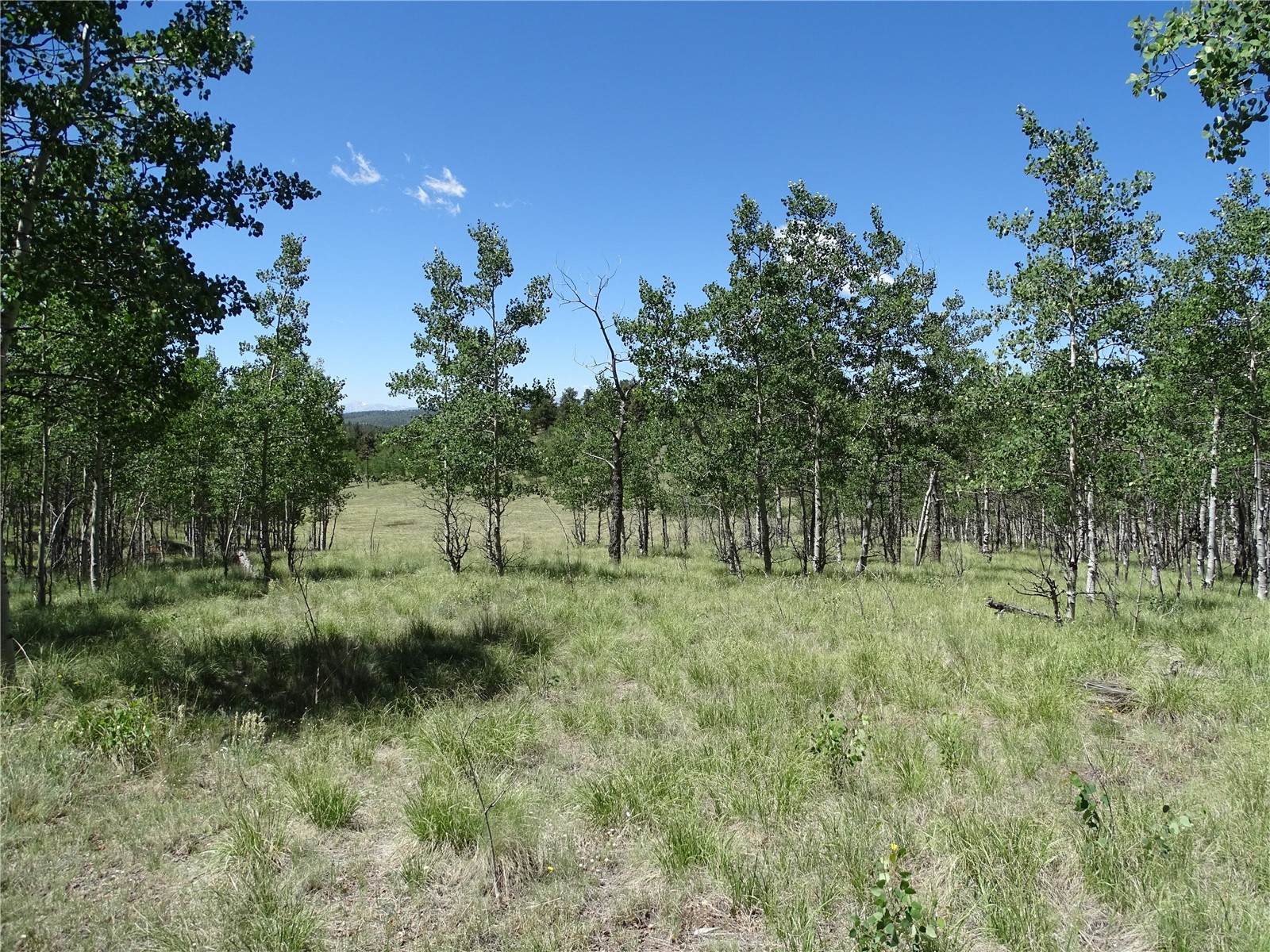 782 Bowstring Road Como CO 80432