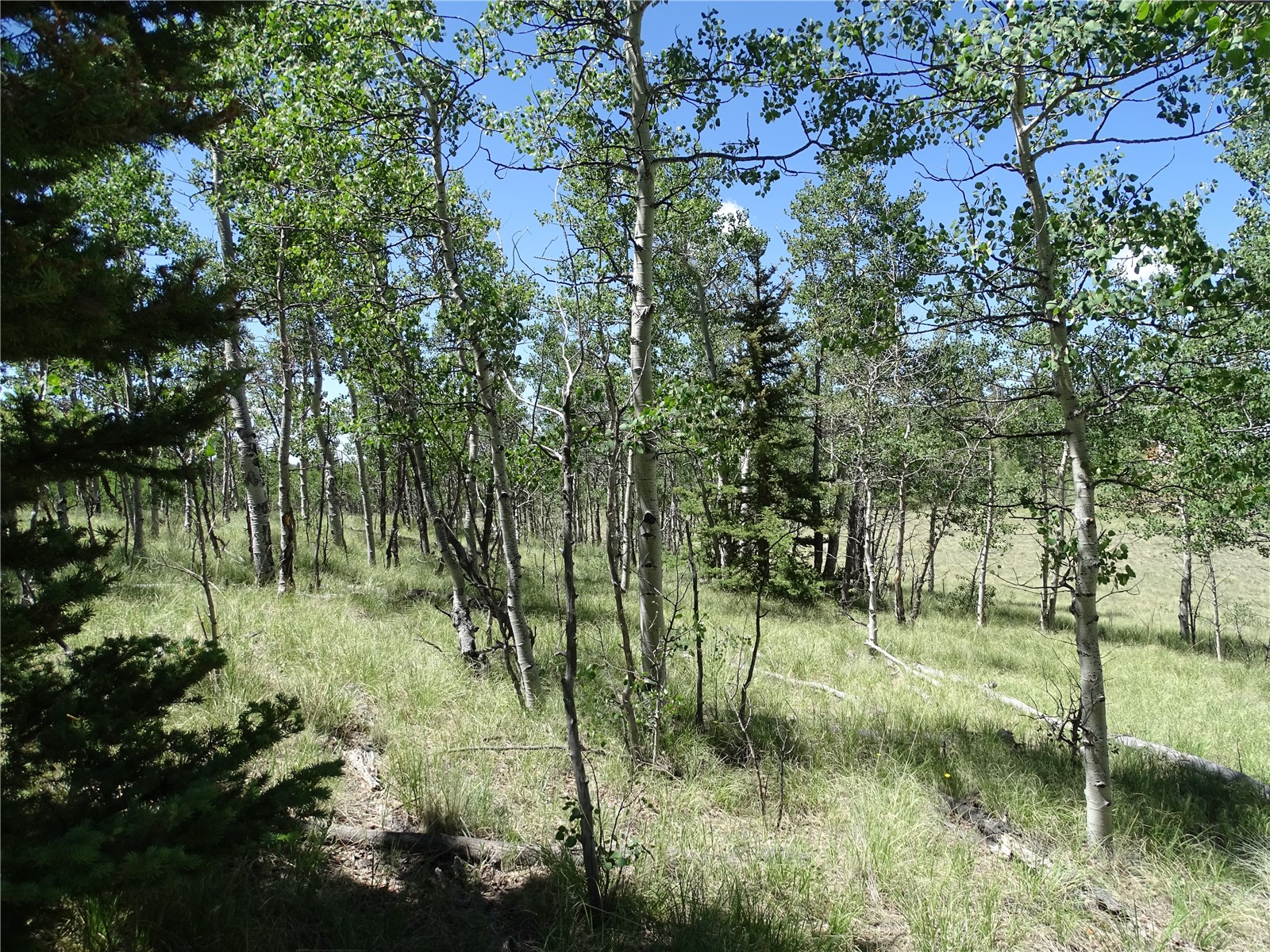 782 Bowstring Road Como CO 80432