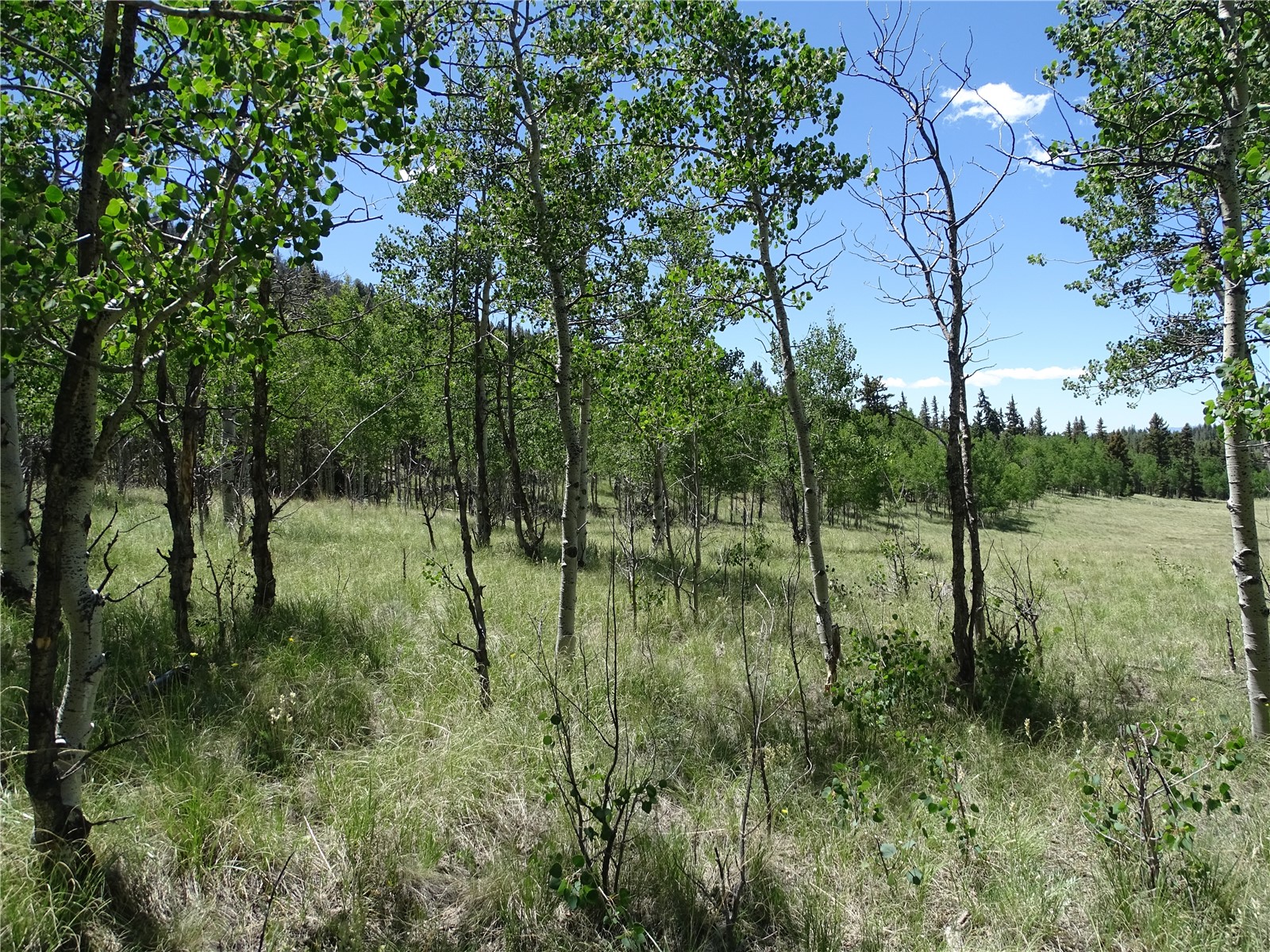 782 Bowstring Road Como CO 80432