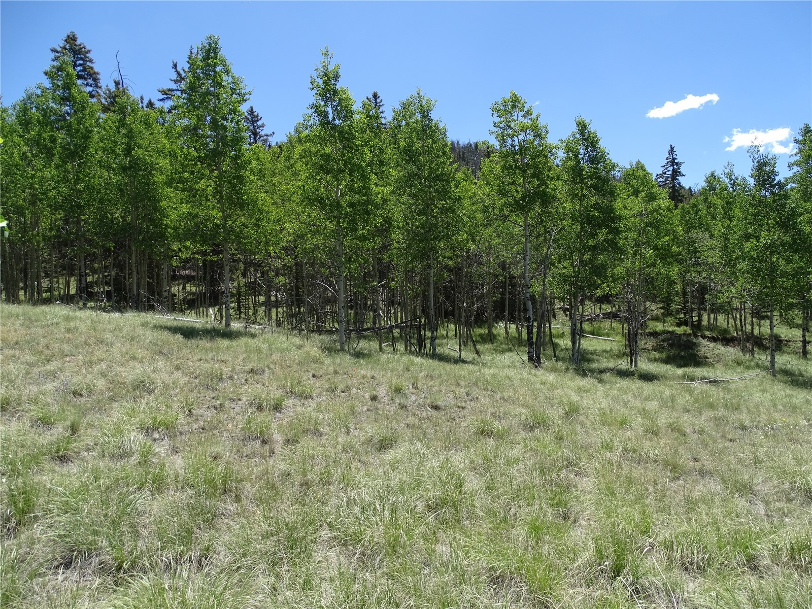782 Bowstring Road Como CO 80432