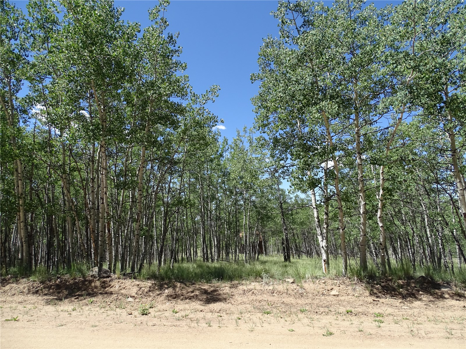 782 Bowstring Road Como CO 80432