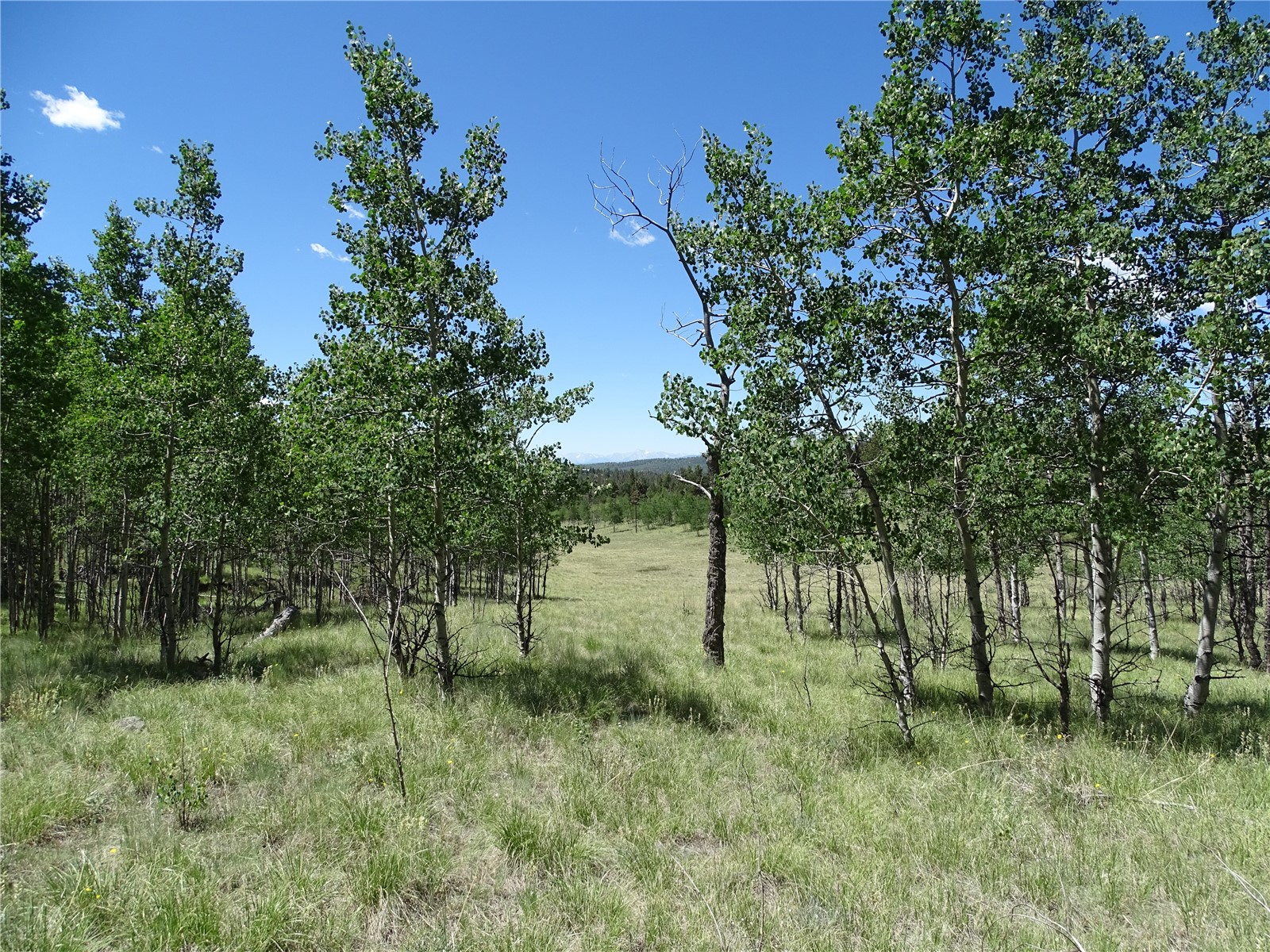 782 Bowstring Road Como CO 80432